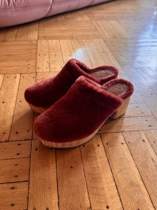 Shoes - Coclico Ocean Clog - Autumn Leaf size 38